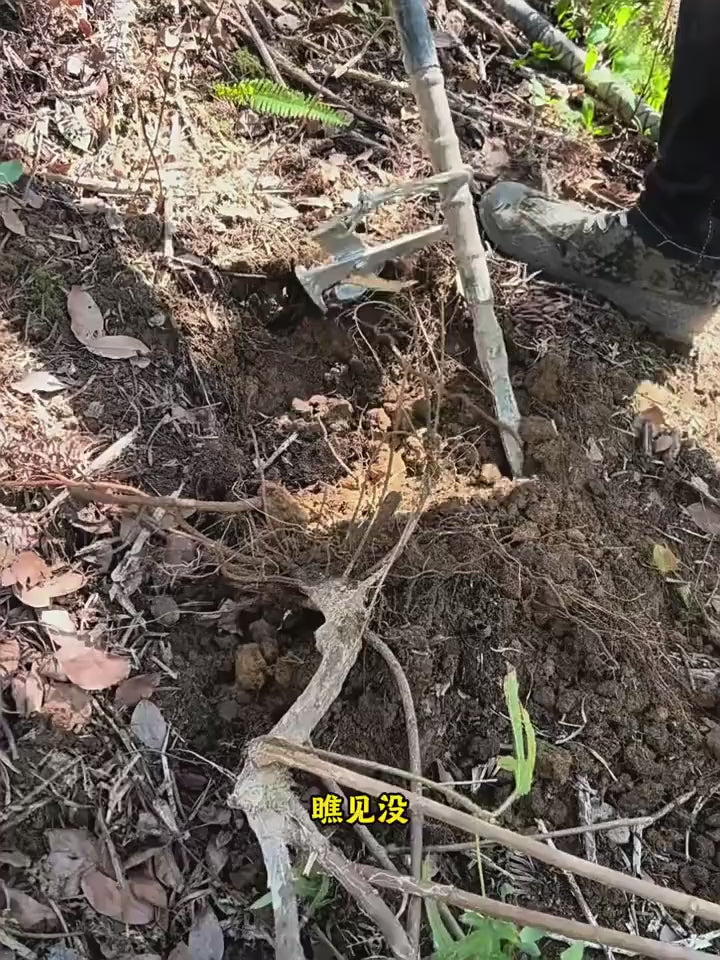 Multipurpose Tree Root Puller Ground Clearing Sapling Puller Tool Ergonomic Garden Tool for Landscaping, Farming, Forestry
